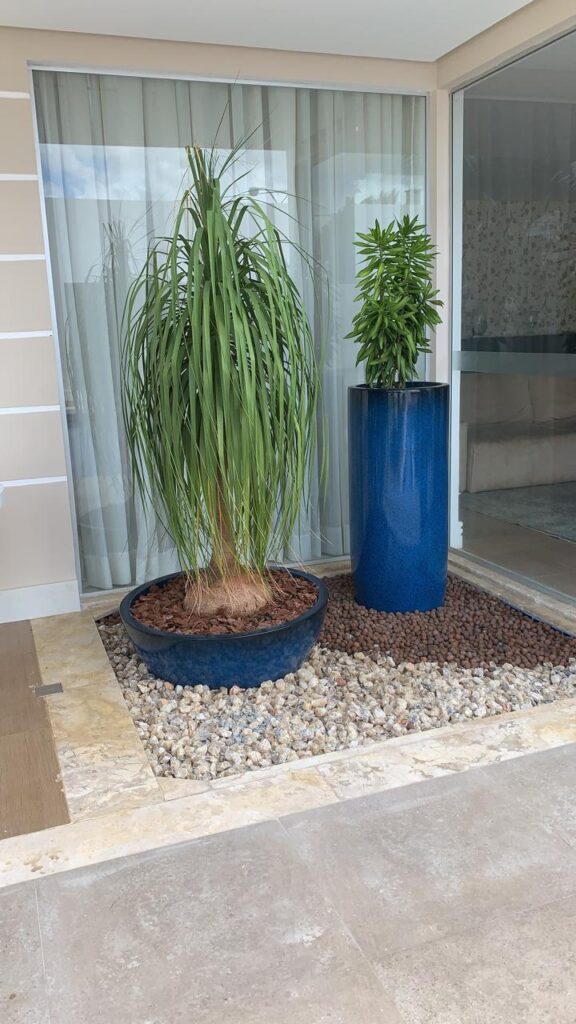 Bacias para Plantas